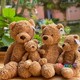 Jellycat 英国正品 Bumbly 香槟熊泰迪熊毛公仔 现货 笨笨熊 Bear