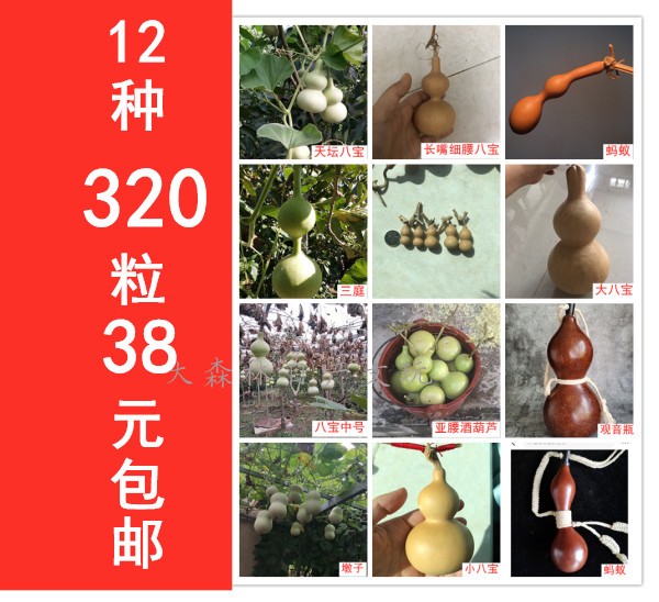 天然文玩大小八宝胖墩子蚂蚁草里葫芦
