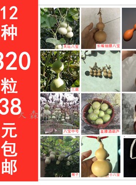 天然文玩大小八宝胖墩子蚂蚁草里金亚腰本长三庭手捻酒葫芦种子籽