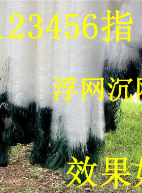 捕鱼神器三层沉网单层浮网捕鱼网鲫鱼鲤鱼鲢鳙白条网丝网浮网挂网
