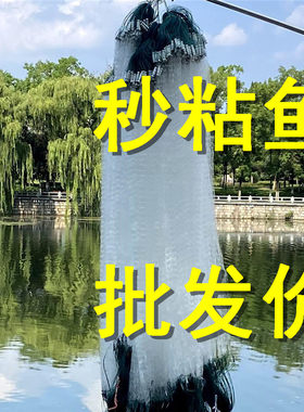 单层渔网粘网白条餐条专用小鱼网丝网三层沉网浮网捕鱼网8分1指高