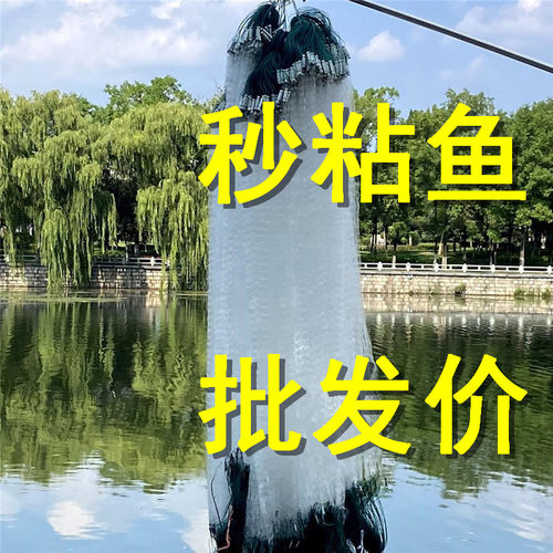 单层渔网粘网白条餐条专用小鱼网丝网三层沉网浮网捕鱼网8分1指高