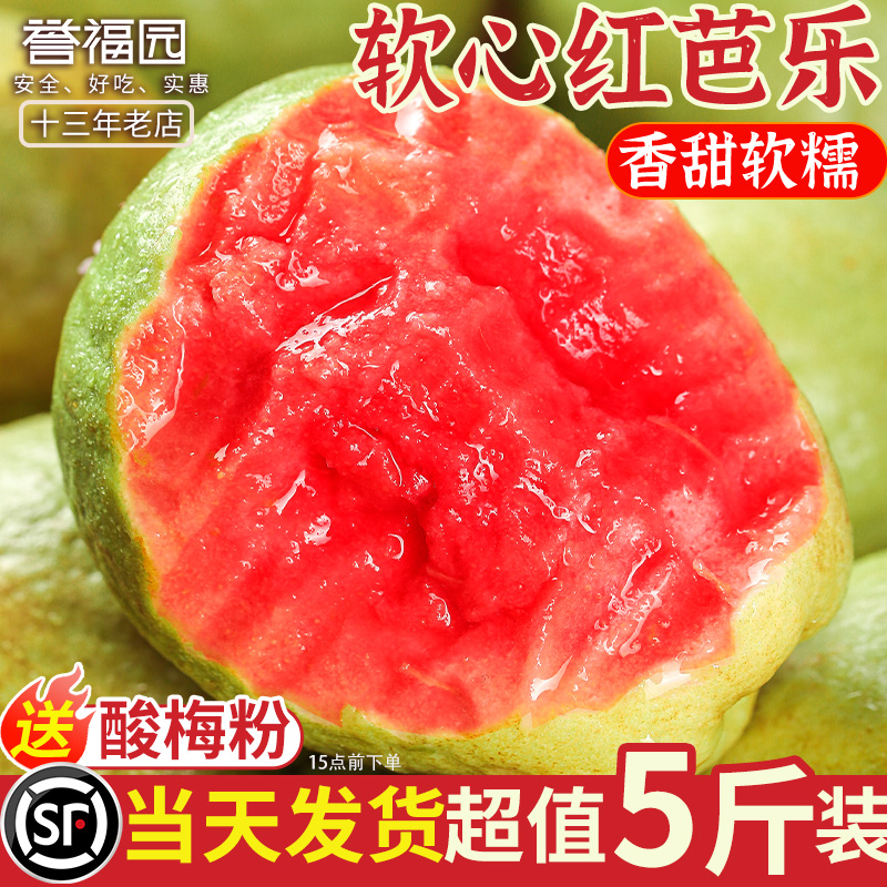 正宗广西软红心芭乐现摘现发