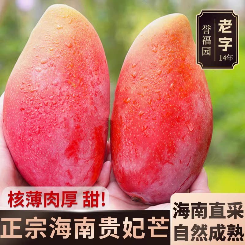【进直播间送一斤】树上熟海南贵妃芒果新鲜水果大果当季整箱包邮