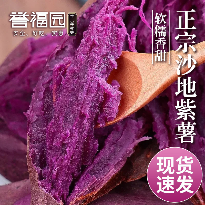 农家自种当天现挖紫薯粉糯香甜