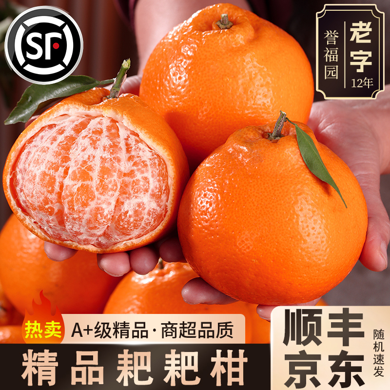 顺丰四川春见耙耙柑18斤新鲜粑粑柑杷杷橘子整箱水果甜丑桔旗舰店