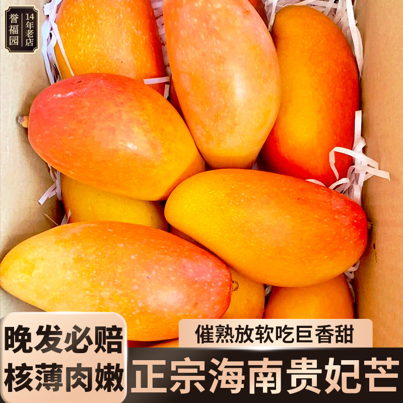 海南贵妃芒新鲜芒果应当季水果树上熟红金玉青辣椒芒现摘大果整箱