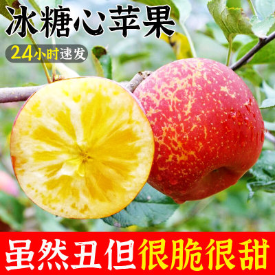 匠心果农种植，霜降后有糖心