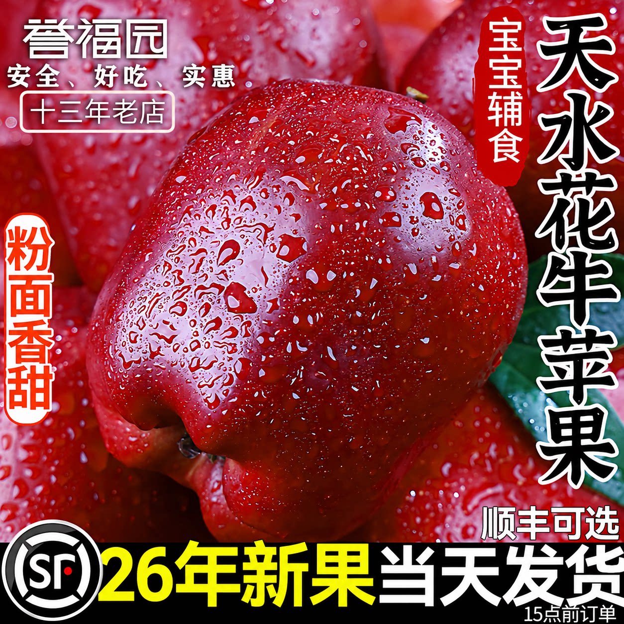 正宗甘肃天水花牛苹果产地直发