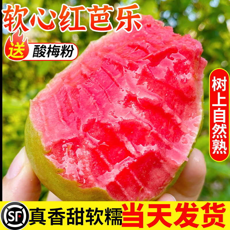 正宗广西软红心芭乐现摘现发