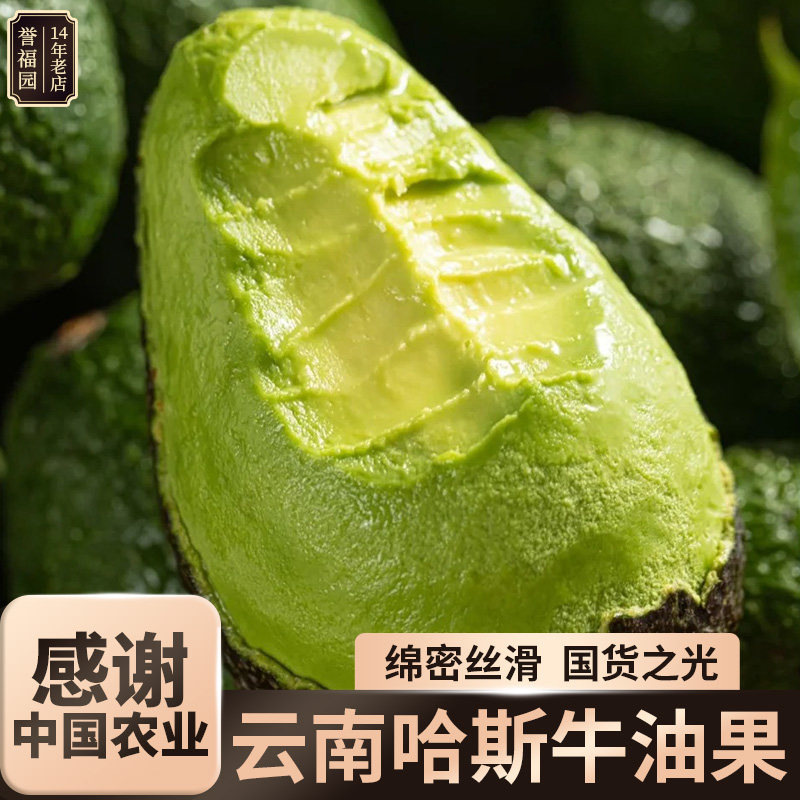 牛油果大果新鲜水果15当季个云南整箱熟透即食哈斯鳄梨应国货之光,水产肉类/新鲜蔬果/熟食,牛油果,淘宝优惠券,粉丝福利购,淘宝优惠卷