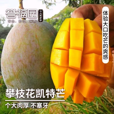 攀枝花凯特芒细腻无渣肉厚核小