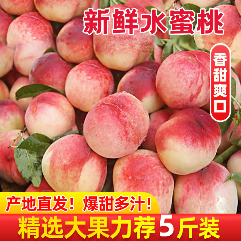 新鲜水蜜桃10斤桃子水果应当季现摘整箱包邮软时令脆甜桃毛密桃