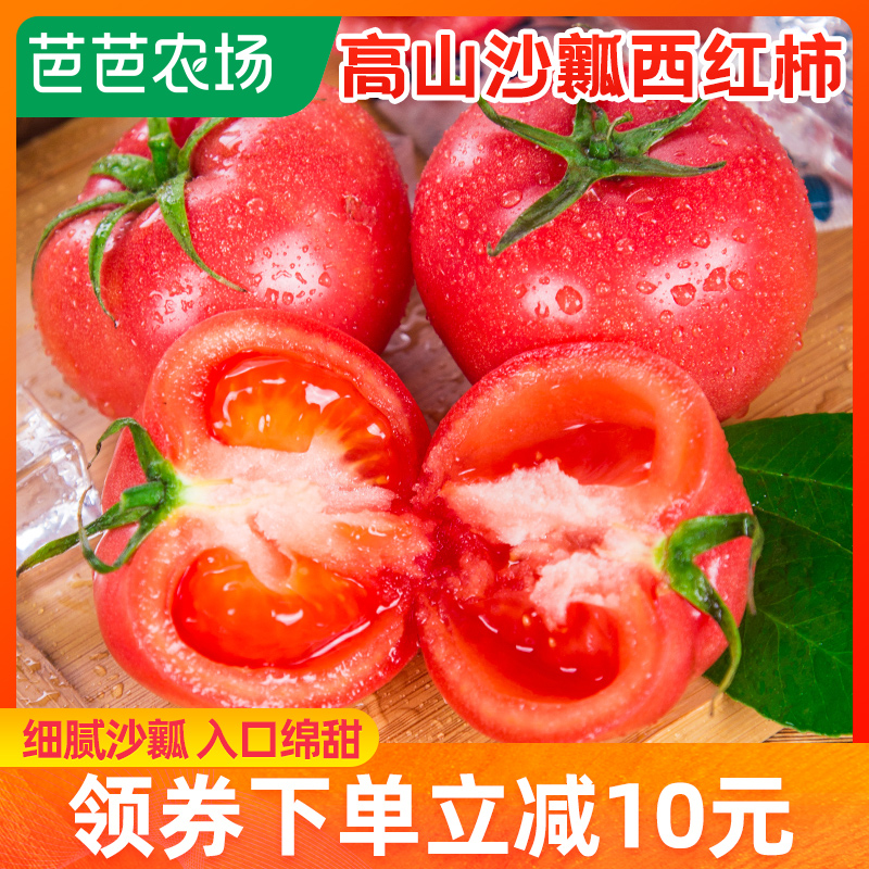 农场 攀枝花沙瓤番茄普罗旺斯新鲜自然熟生吃水果西红柿3斤包邮