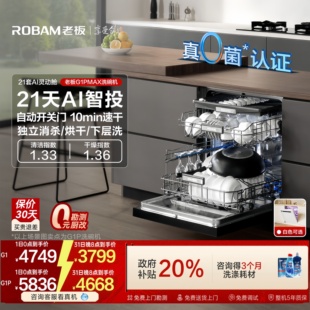 全自动 21套大容量智能投放家用嵌入式 老板洗碗机盐系G1P G2新款