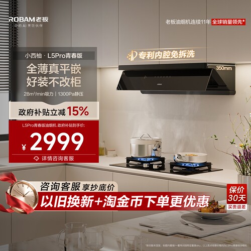 老板小西柚L5Pro青春版顶侧一体