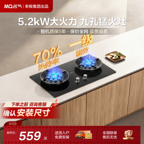 【名气】九腔燃气灶煤气灶猛火家用双灶台天然气MQ/名气A6103B