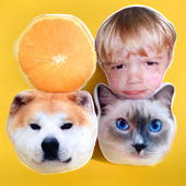 异形暖手捂照片抱枕定制猫狗宠物公司吉祥物logo水果动漫插手靠背