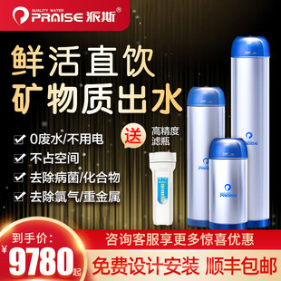 派斯中央净水器 家用全屋别墅大流量直饮机 PS-100/200/300