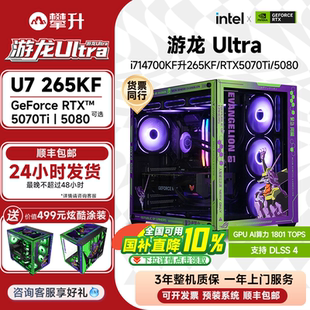 265KF 机电脑DIY电竞组装 整机270K 14700KF升U7 5080三角洲台式 攀升游戏主机i7 国补10% 百亿 RTX5070Ti