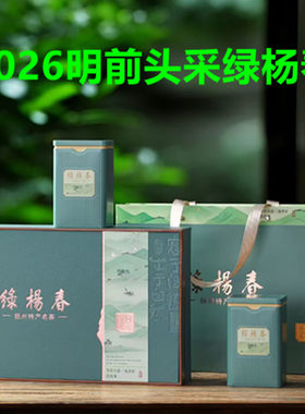 2026明前头采特级绿杨春礼盒新茶