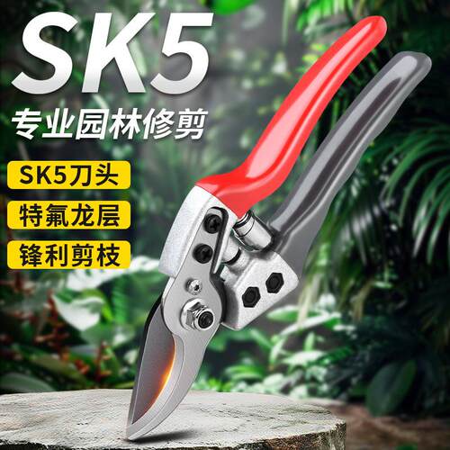 园艺剪刀SK5钢修枝剪花艺专用园林树木枝剪果树树枝专业修剪神器