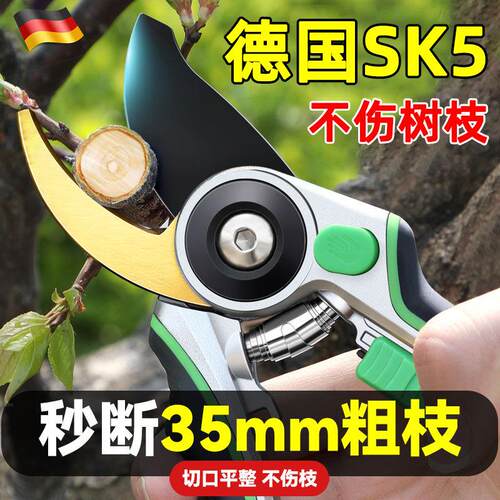修剪树枝剪刀园艺剪果树枝园林花枝花艺枝条修枝采摘水果修枝剪