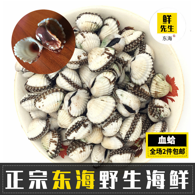 温州苍南血蚶正宗 新鲜水产血蛤 鲜活贝类 中等雪蛤500g 2件包邮