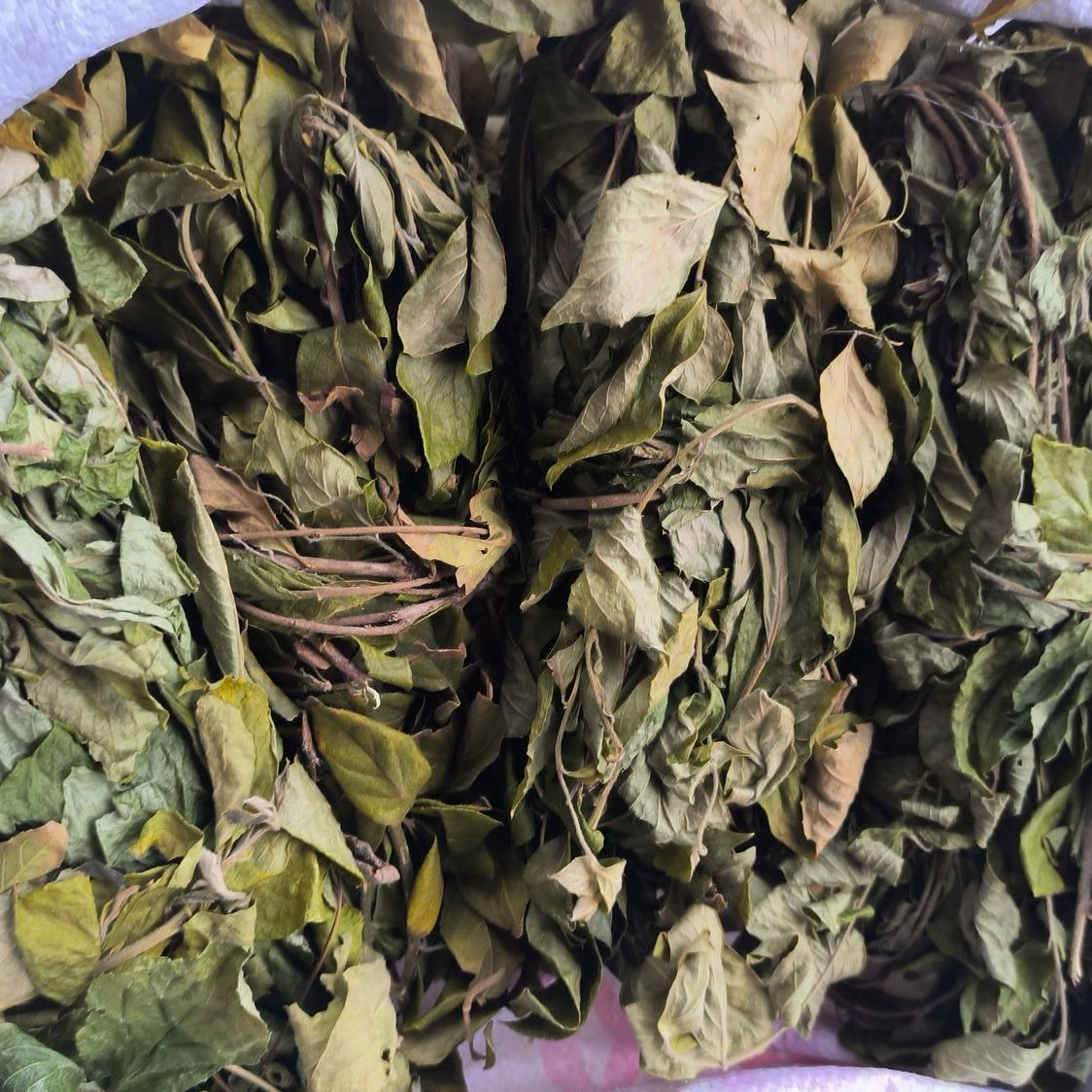 端午节蛋草晒干新鲜特产煮蛋草
