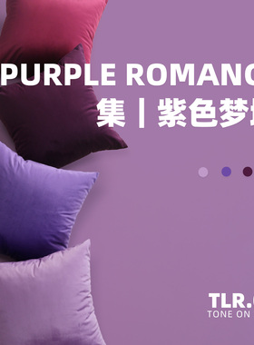 北欧简约紫色天鹅绒女抱枕靠垫卧室床头靠枕沙发靠背腰枕套不含芯
