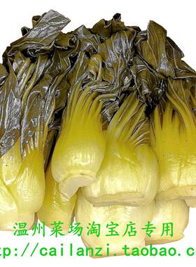 温州腌香菇菜 小油冬菜 腌制兄菜咸 腌白菜 传统咸菜脆爽可口500g