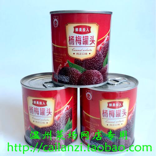 温州味道 杨梅罐头 易拉罐糖水罐头 新鲜水果东魁杨梅罐头 312g