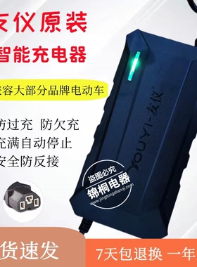 友仪充电器祥瑞电瓶车智能充电器48V60V通用雅迪爱玛电动车充电器