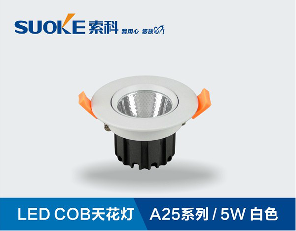 LED射灯COB天花灯A25系列5W10W客厅卧室天花射灯背景墙包邮