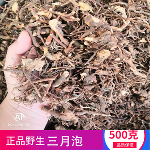 中药中药材 三月泡根 刺波 茅梅根 茅莓根 红梅消根  蛇泡筋 500