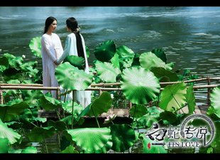 相馆摄影棚影楼无缝布写真布直播主题挂拍古装虚化荷花荷叶5168