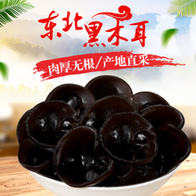 东北特产黑木耳干货500g特级椴木秋木耳无根肉厚非小碗耳新货 包邮
