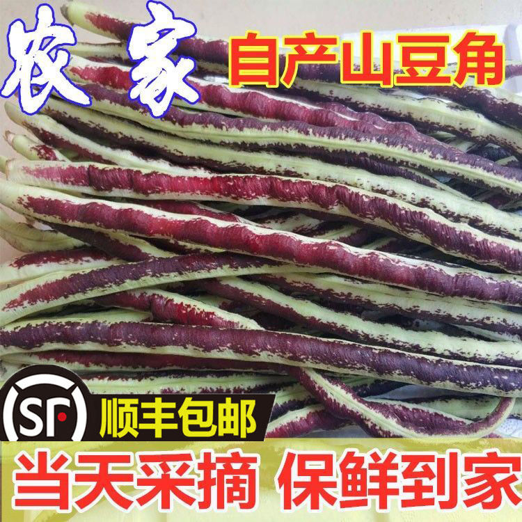 山豆角新鲜现摘现发山东农家当季时令蔬菜花豆角花豇豆2斤包邮