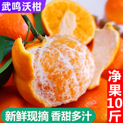 【井哥严选】正宗广西武鸣沃柑10斤新鲜现季水果橘子一级礼盒大果