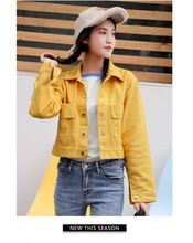 秋冬短款 夹克牛仔外套单排扣休闲刺绣长袖 衣011 2019春新品 女装