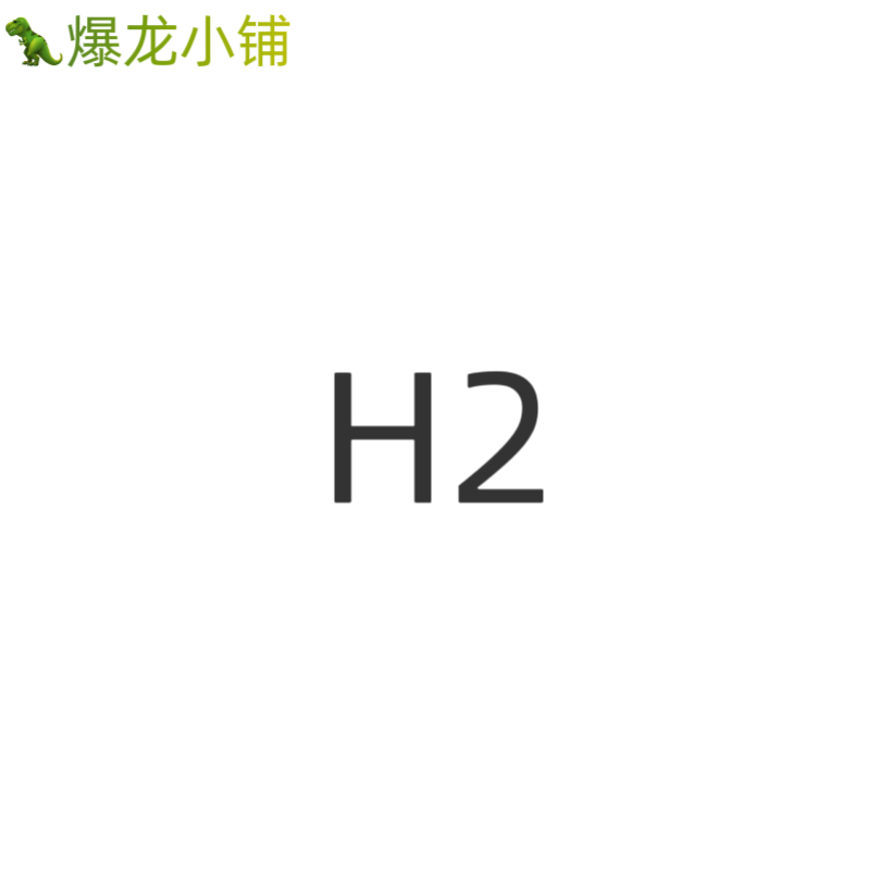 爆龙小铺 H2 白 2.6mm  一份10g统一装  mard