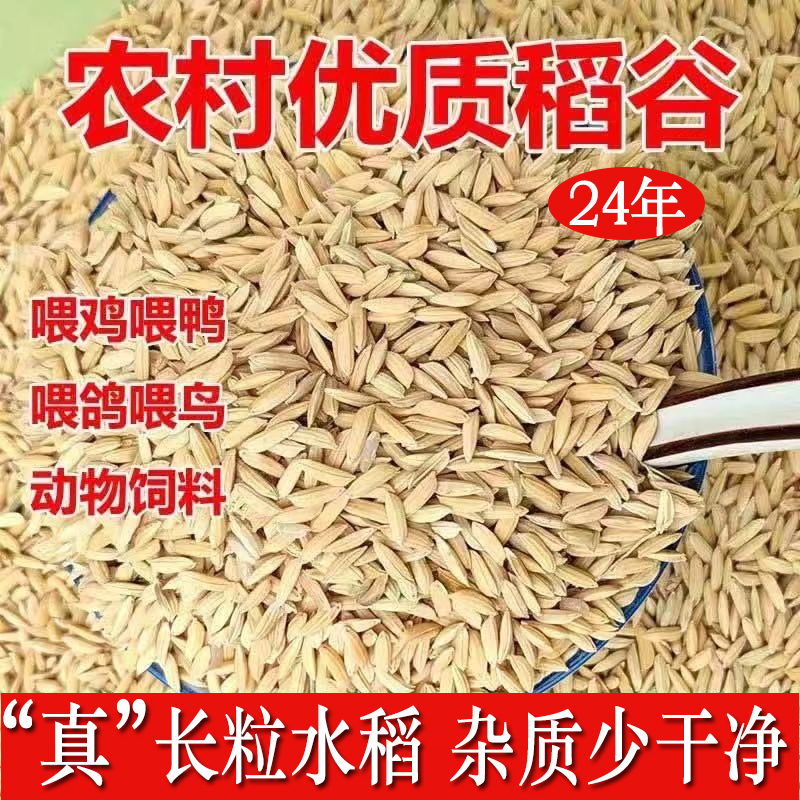 24年10月产长粒河南新水稻可开票
