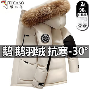 大毛领连帽保暖情侣工装 冬季 外套潮 新款 啄木鸟白鹅绒羽绒服男女款