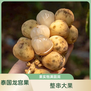 龙宫果椰色果迷你果串小众稀有当季新鲜酸甜水果包邮