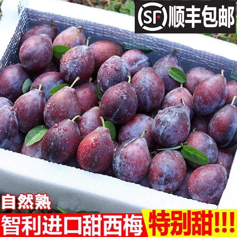 广东顺丰包邮西梅新鲜水果5斤整箱顺丰包邮当季甜西梅法兰西