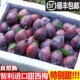 广东顺丰 甜西梅法兰西 当季 包邮 西梅新鲜水果5斤整箱顺丰
