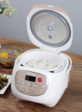 天际真陶瓷内胆电饭煲智能多功能正品家用全自动柴火煮饭2人3-4升