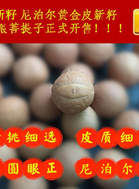精选2021年尼泊尔新籽凤眼菩提子