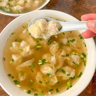 衢州龙游小吃湖镇老街猪肉手工馄饨早餐配油条速食小吃顺丰包邮
