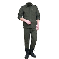 Армия зеленый д